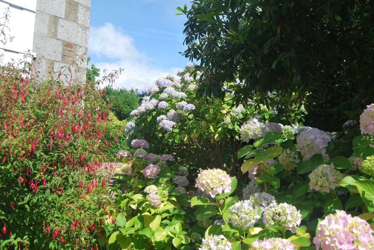 B&B Le Mesnil Saint-Senier-sous-Avranches Exteriér fotografie